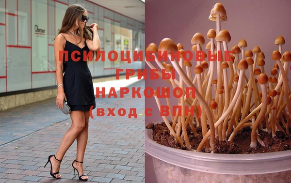 спиды Заводоуковск