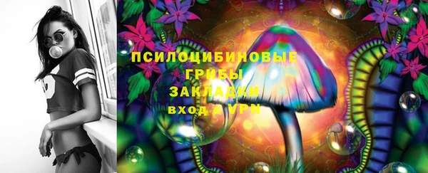 тгк Заволжск